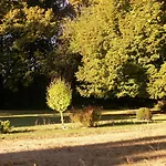Chateau De La Court D'aron 3* Saint-Cyr-en-Talmondais