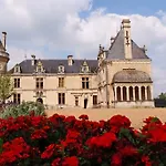 Chateau De La Court D'aron 3* Saint-Cyr-en-Talmondais
