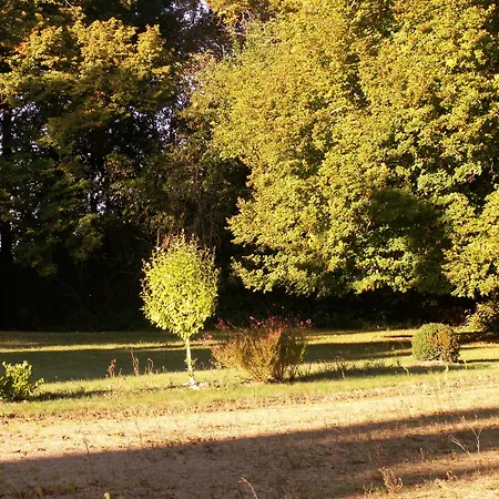 Chateau De La Court D'aron 3* Saint-Cyr-en-Talmondais