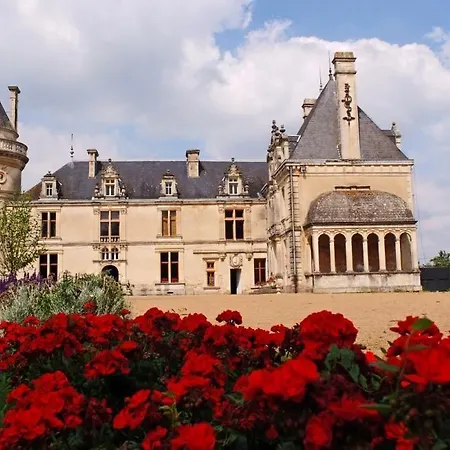 Château De La Court D'aron 3* Saint-Cyr-en-Talmondais