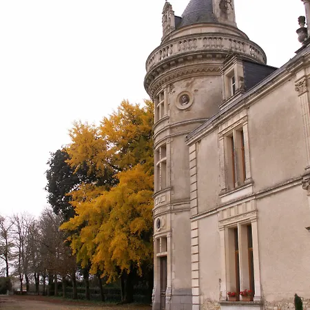 Chateau De La Court D'aron 3* Saint-Cyr-en-Talmondais