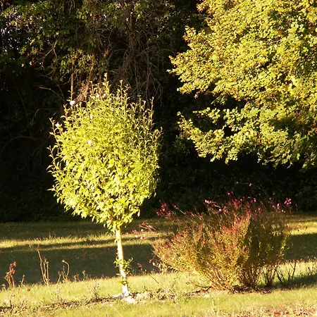 Bed & Breakfast Chateau De La Court D'aron 3*