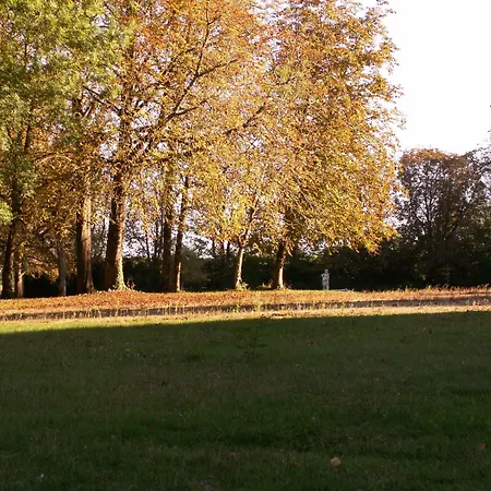 Oda ve Kahvaltı Chateau De La Court D'aron