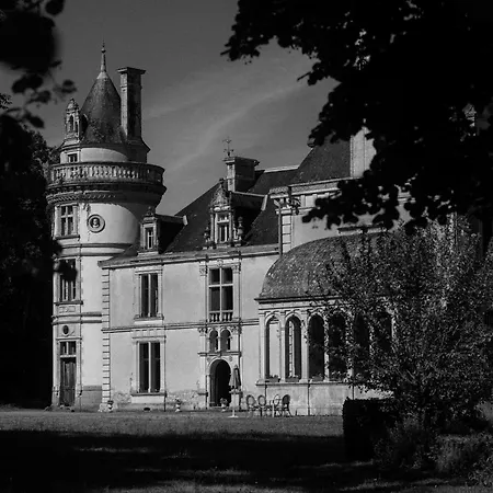 Chateau De La Court D'aron 3* Saint-Cyr-en-Talmondais