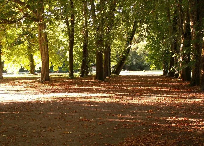Château De La Court D'aron 3*