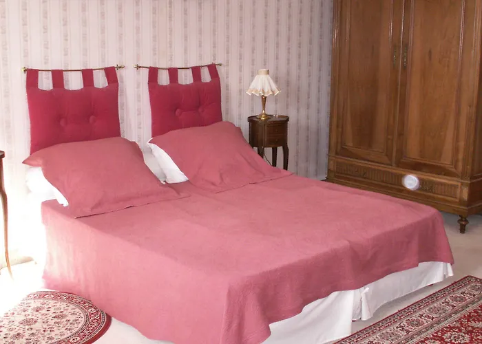 Château De La Court D'aron Couette-café Saint-Cyr-en-Talmondais