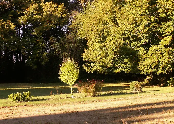 Château De La Court D'aron 3* Saint-Cyr-en-Talmondais