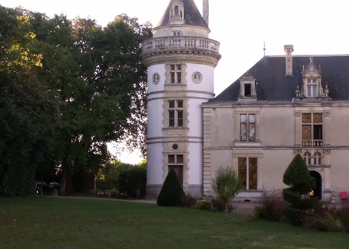 Château De La Court D'aron Couette-café Saint-Cyr-en-Talmondais
