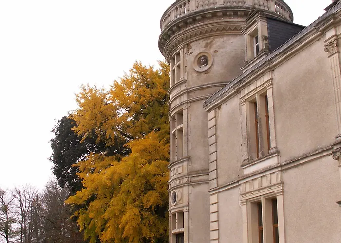 Château De La Court D'aron 3* Saint-Cyr-en-Talmondais