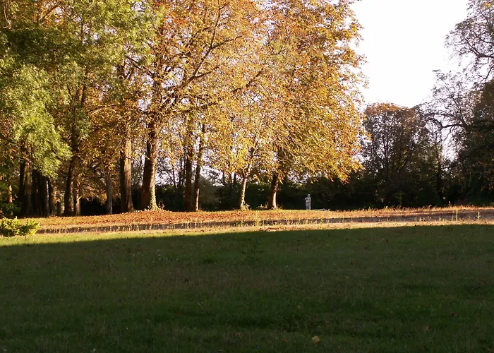 Couette-café Château De La Court D'aron